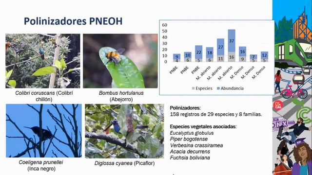 Semana de la investigación. Jardín Botánico de Bogotá 2022. Ciencia, Tecnología e Innovación. смотреть онлайн