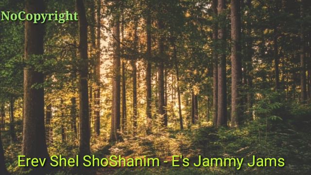 Erev Shel shoshanim || E's jammy jams || NoCopyright Sounds смотреть онлайн