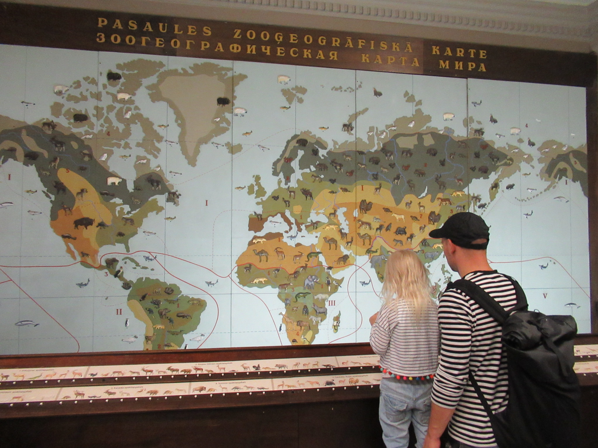 Естественнонаучный музей в Риге