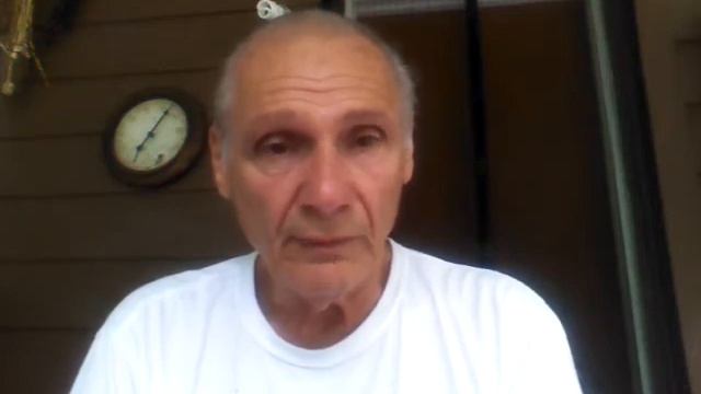 racing pigeons the stray смотреть онлайн