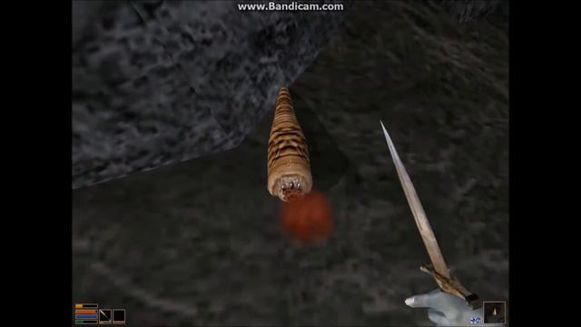 TESIII Morrowind: DUNMER NON IDENTIFIEE!!!