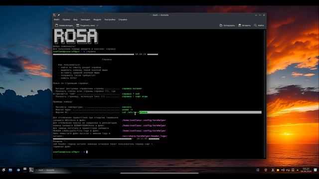 РОСА ФРЕШ 12 смотреть онлайн