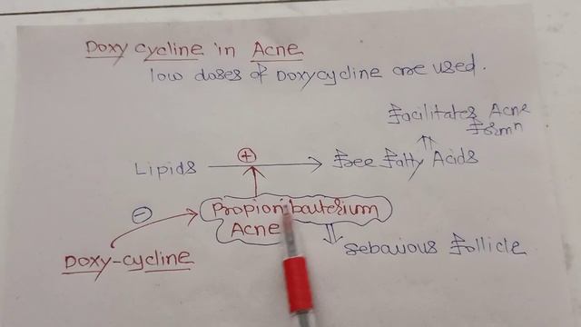 Role of Tetracycline/ Doxycycline In Acne Vulgaris... смотреть онлайн