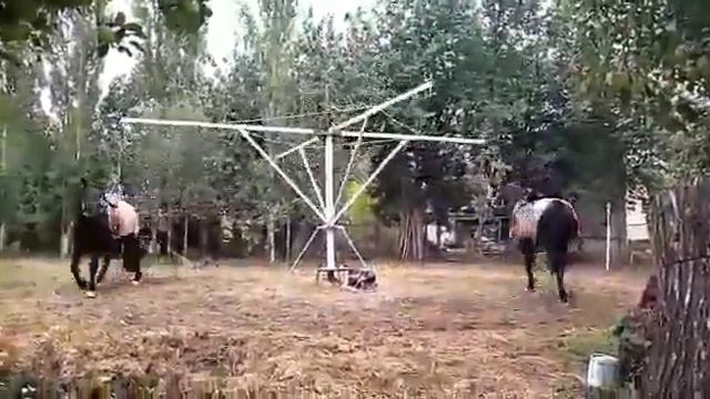 18 января 2021 г. смотреть онлайн