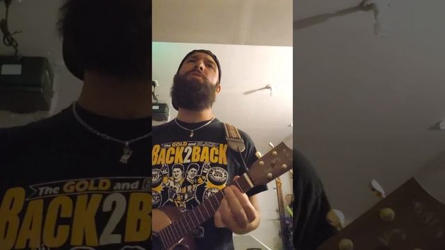 Monty Python - Brave Sir Robin ukulele cover смотреть онлайн