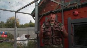 Рис, греча, перловка, крупа для кур несушек.