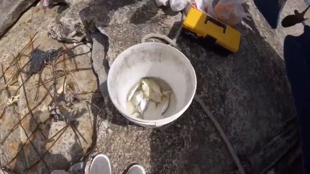 Как я провел свой отпуск! смотреть онлайн