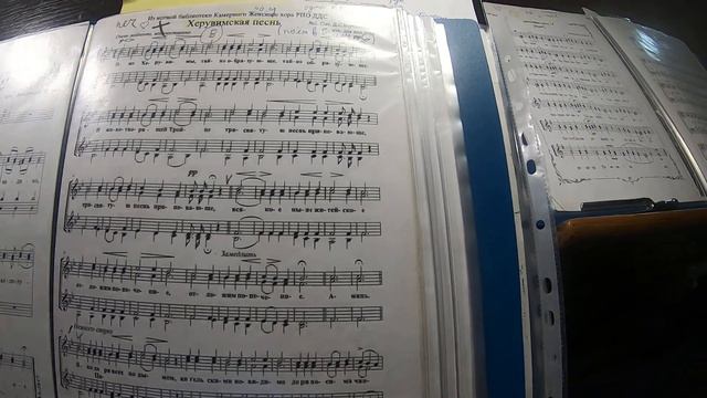 Алиса Бортнянский Херувимская. Служба с нотами. смотреть онлайн