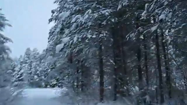 На снегоходе по Энгозеру смотреть онлайн