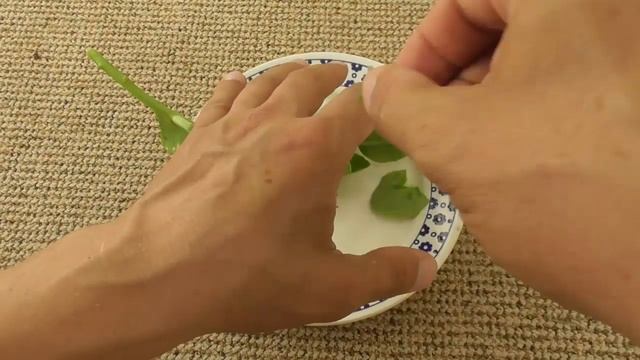 Укусы комаров и мошки - природное средство снять зуд смотреть онлайн