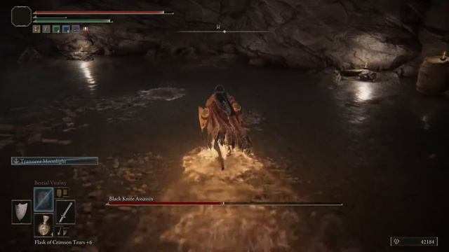 HOW TO CHEESE BLACK KNIFE ASSASSIN ELDEN RING смотреть онлайн