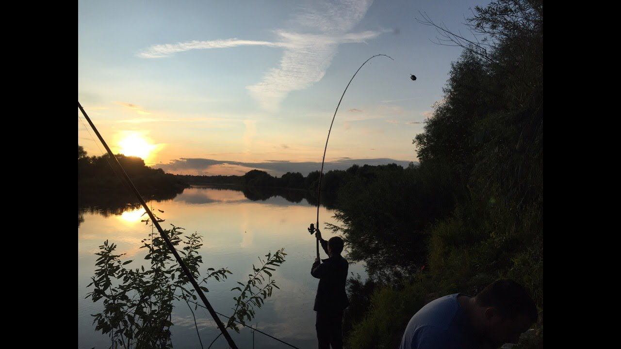 Как наловить КРУПНОГО КАРАСЯ?? Рыбалка на Реке Ока смотреть онлайн