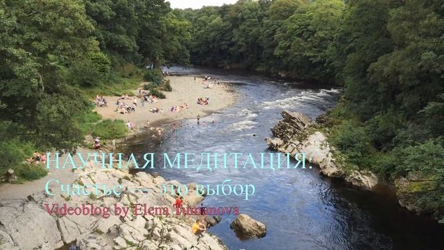 Счастье это выбор. Впусти счастье. Настрой на исполнение желаний. Вкус счастья. Научная медитация. смотреть онлайн