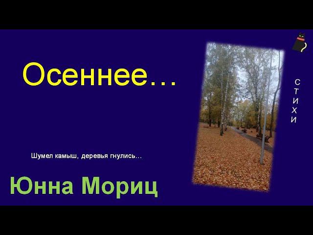 Пронзительная осень. Юнна Мориц. смотреть онлайн