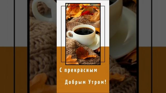 ?Доброе утро осень? #shorts смотреть онлайн