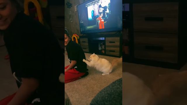 Ответочка смотреть онлайн