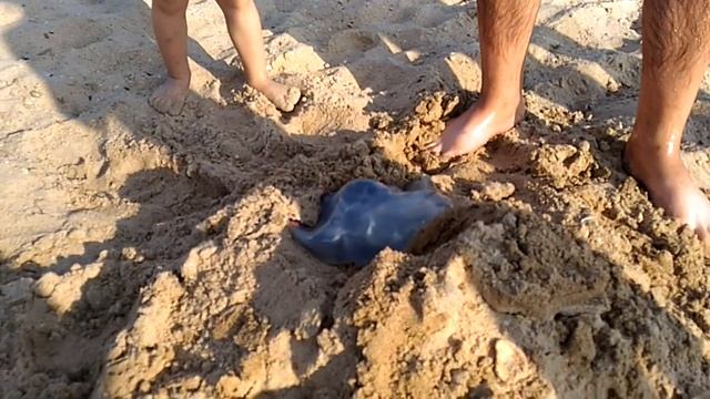 морская люстра)) смотреть онлайн