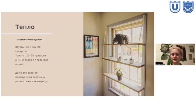 Огород на подоконнике. Шабаева Н.Е. смотреть онлайн