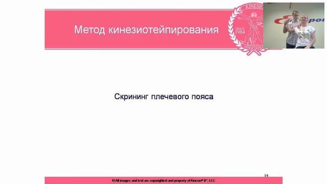 СКРИНИНГ ТЕСТЫ КИНЕСИО ТЕЙПИНГА КОНЦЕПЦИИ КИНЕСИО ТЕЙПИНГА ВЕБИНАР смотреть онлайн