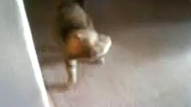 Баська "бесится" смотреть онлайн