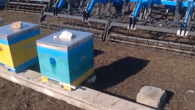 Февраль 16.02.2020. Пчелы три (3)дня уже в работе. расплод утепление. смотреть онлайн