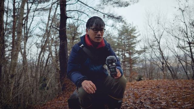 歴だけは、歴だけは смотреть онлайн