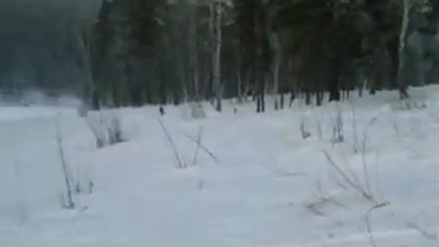 Сноубордист без сноуборда смотреть онлайн