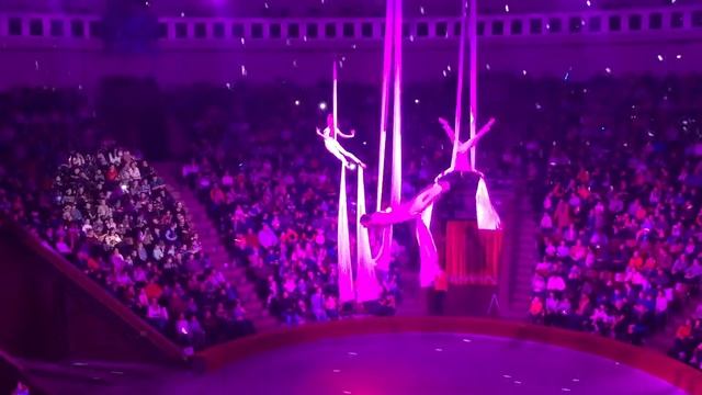 Гимнасты киевского цирка 2017 смотреть онлайн