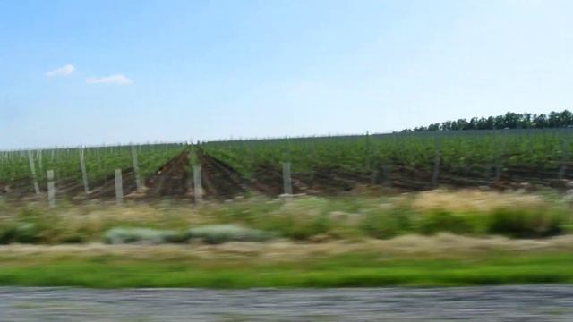 Фруктовые сады, Ростовская область смотреть онлайн