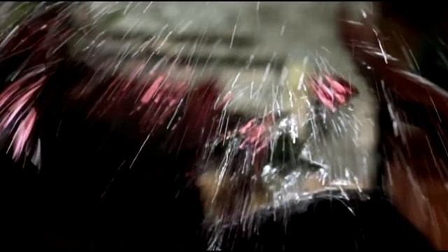 Белая - Руслан Герасименко