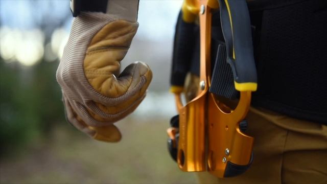 PETZL. Найди самое высокое дерево в России смотреть онлайн