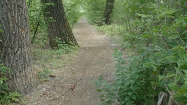 Природа Акбулака. Акбулачка. смотреть онлайн