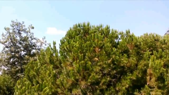 Клуб и Отель карабурун смотреть онлайн