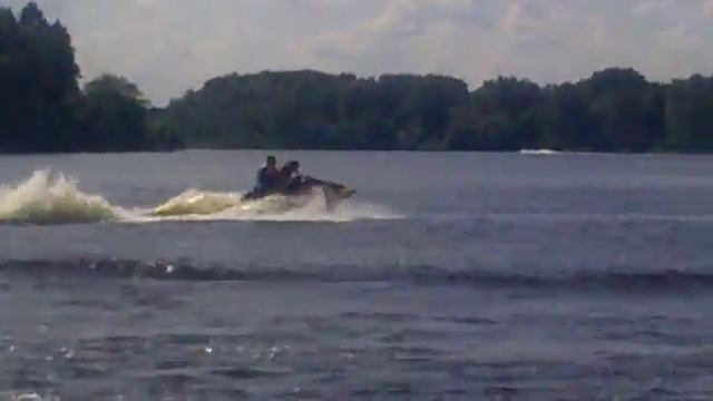 витенево собака на гидроцикле смотреть онлайн