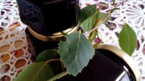 Об этом знали еще наши бабушки! Необычные способы применения березового дегтя в быту