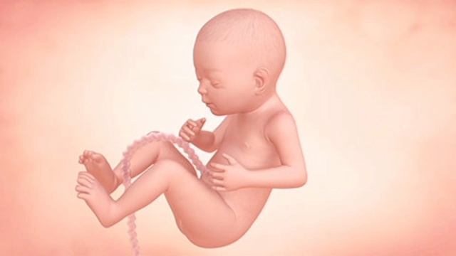 Java e 26 e Shtatzanise. Cfare pritet te ndodhe gjate kesaj jave? смотреть онлайн