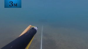 Тест подводного ружья Таймень 600