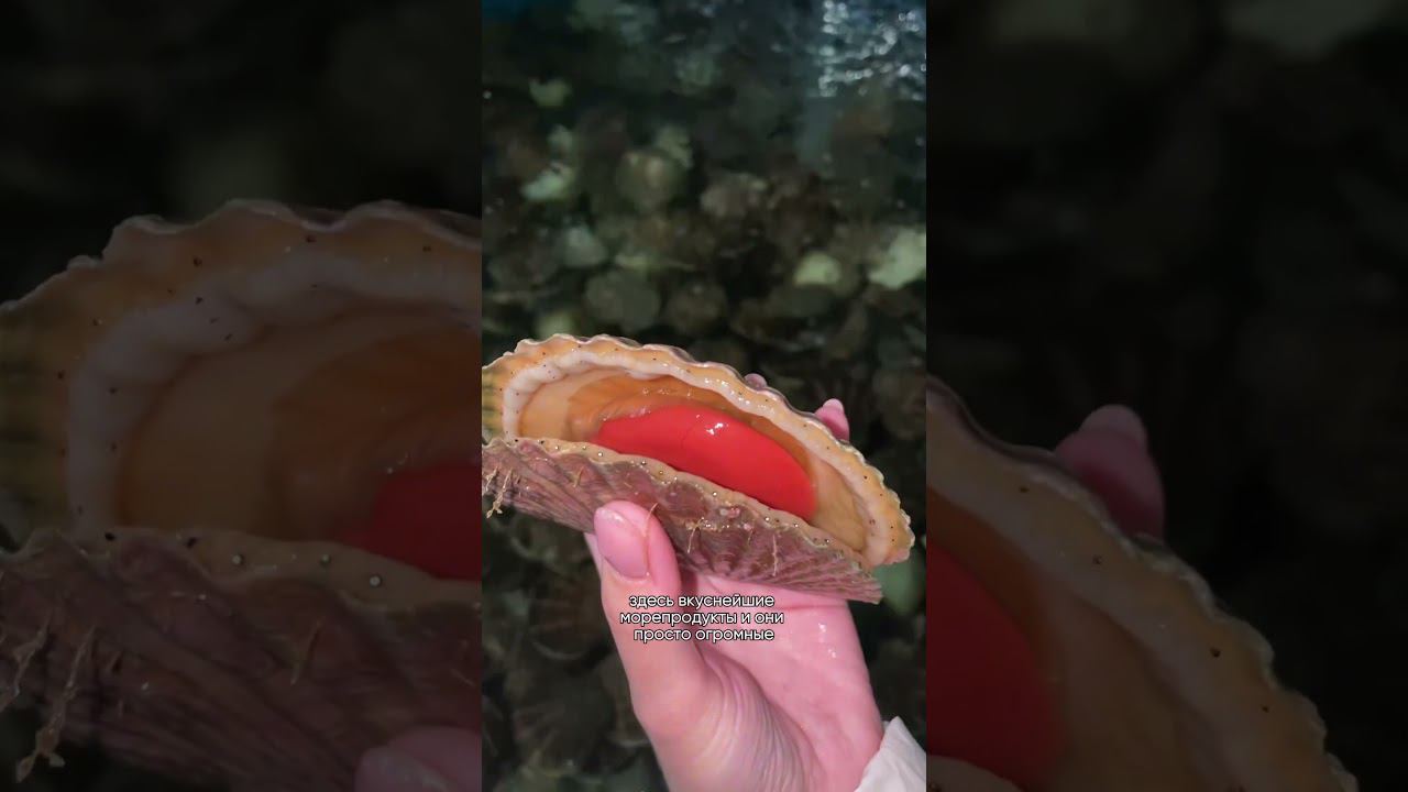 Сюда точно нужно приехать смотреть онлайн