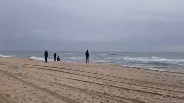 ТНВД "Морской рейд"(3) смотреть онлайн