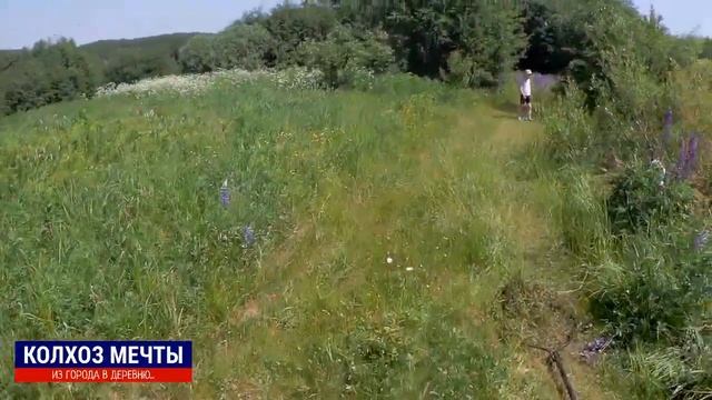 Чистим пруд всем селом. Как очистить пруд? смотреть онлайн