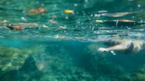 ОГРОМНОЕ тихоокеанское мусорное пятно - это НЕ ТО, что выдумаете