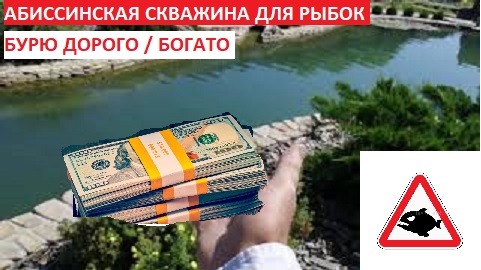 Абиссинская скважина для рыбок. Бурю "дорого/богато"