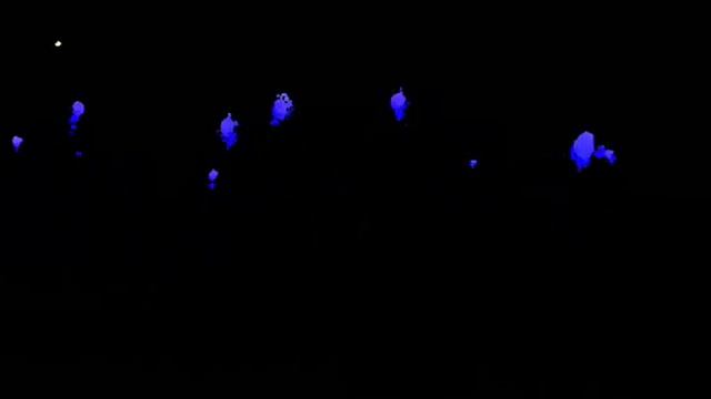 Agnus Dei Black Light Signing смотреть онлайн