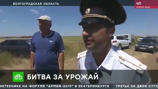 Волгоградские фермеры с вилами стали на защиту своего урожая!!! смотреть онлайн