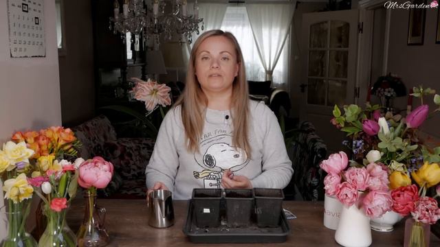 Przyśpieszamy kwitnienie Kalla Frozen Queen Kanna Pink Paradise / Nowe Rośliny w Ogrodzie /MrsGarde смотреть онлайн