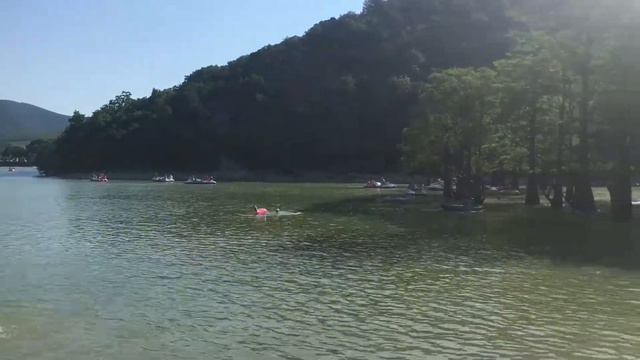 Озеро Кипарис Отдых в Анапе Витязево смотреть онлайн