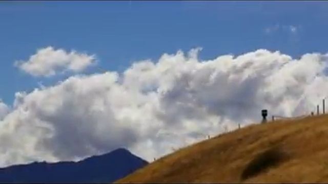 Чудеса природы| Реал Макс (видео с реальной жизни) смотреть онлайн