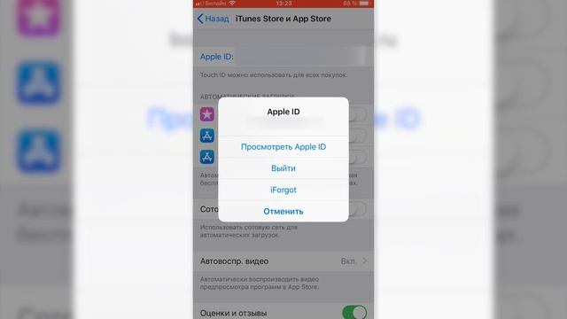 ОТКЛЮЧАЕМ ПЛАТНЫЕ ПОДПИСКИ НА IPHONE смотреть онлайн