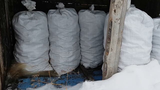 Разведение дендробены!!! Приготовление субстрата! смотреть онлайн