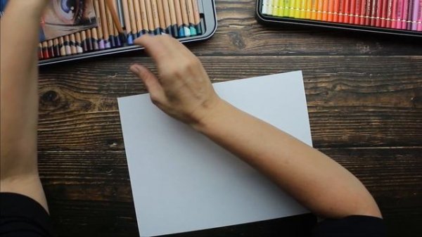 Lightfast by Derwent ~VS~ Polychromos by Faber-Castell